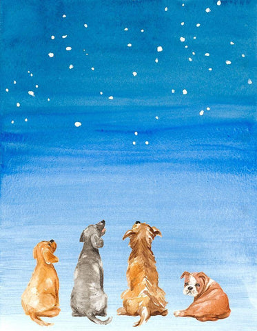 Four Dogs Star Gazing White Modern Wood Framed Art Print with Double Matting by Loreth, Lanie