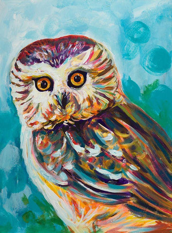 Colorful Owl Black Ornate Wood Framed Art Print with Double Matting by Beauchamp, Andy