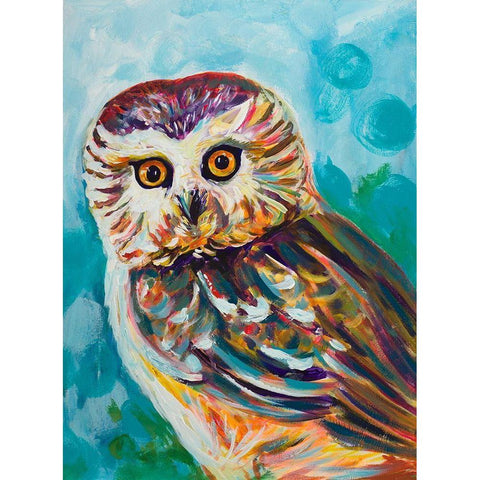 Colorful Owl Black Modern Wood Framed Art Print by Beauchamp, Andy