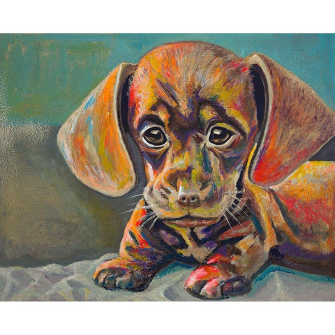 Puppy Face Black Modern Wood Framed Art Print with Double Matting by Beauchamp, Andy