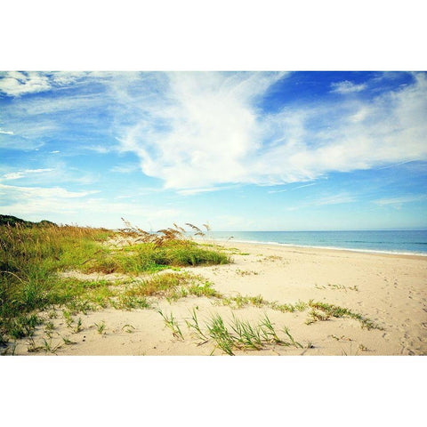 Shores View White Modern Wood Framed Art Print by Bucheli, Jen
