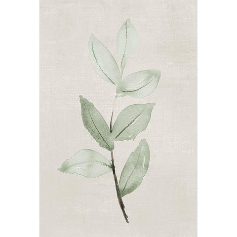 Softly Shaded Green Leaves I Black Modern Wood Framed Art Print with Double Matting by Loreth, Lanie