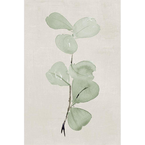 Softly Shaded Green Leaves III Black Modern Wood Framed Art Print with Double Matting by Loreth, Lanie