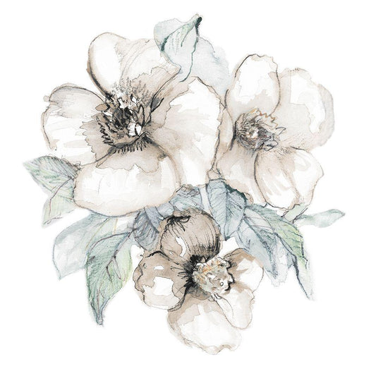Image Only