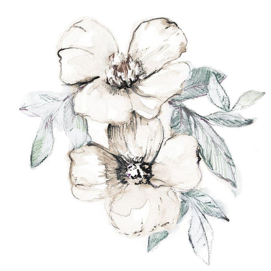 Image Only