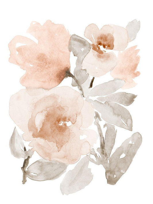 Image Only