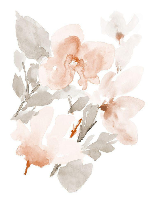 Image Only