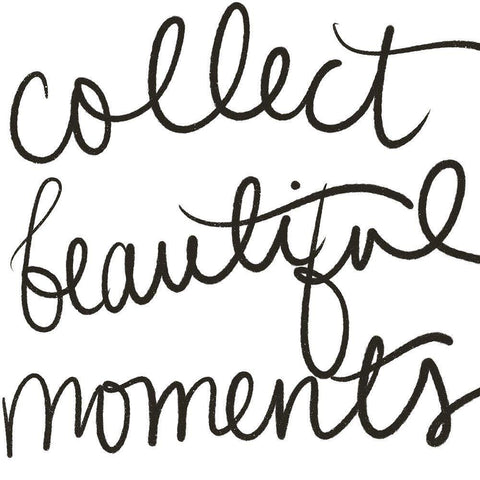 Collect Beautiful Moments Black Ornate Wood Framed Art Print with Double Matting by SD Graphics Studio