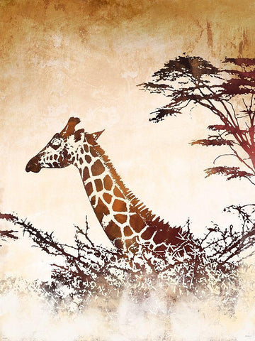 Safari Giraffe I White Modern Wood Framed Art Print with Double Matting by Meneely, Dan