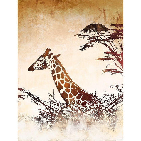 Safari Giraffe I Black Modern Wood Framed Art Print by Meneely, Dan