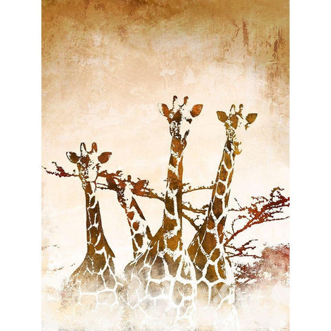 Safari Giraffe II White Modern Wood Framed Art Print by Meneely, Dan