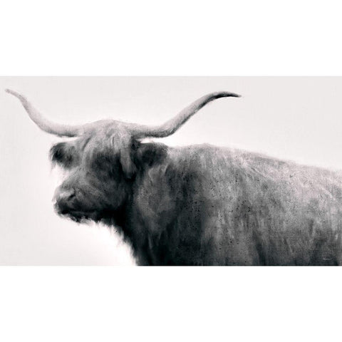 Vintage Bull Black Modern Wood Framed Art Print by Meneely, Dan