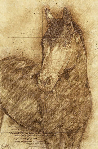 Sketched Horse Black Ornate Wood Framed Art Print with Double Matting by Medley, Elizabeth