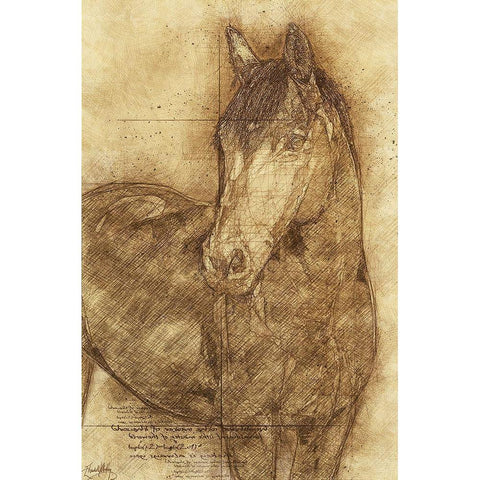 Sketched Horse White Modern Wood Framed Art Print by Medley, Elizabeth