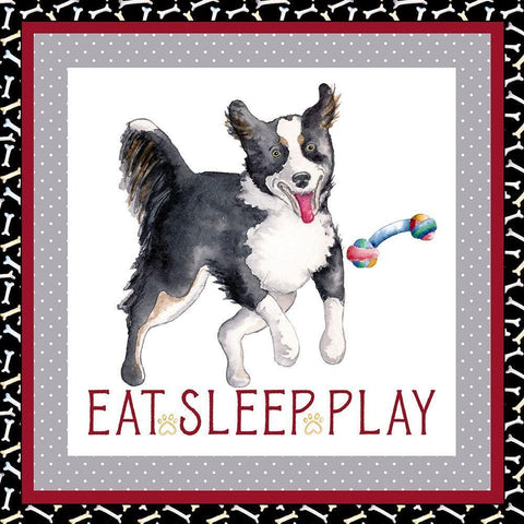 A Dogs Life III White Modern Wood Framed Art Print with Double Matting by Metz, Andi