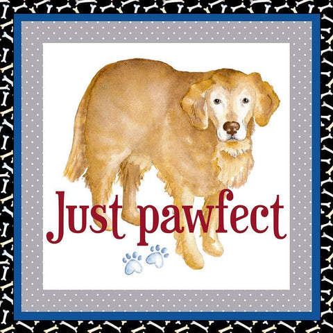 A Dogs Life V White Modern Wood Framed Art Print with Double Matting by Metz, Andi