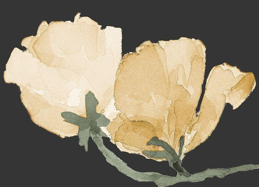 Image Only