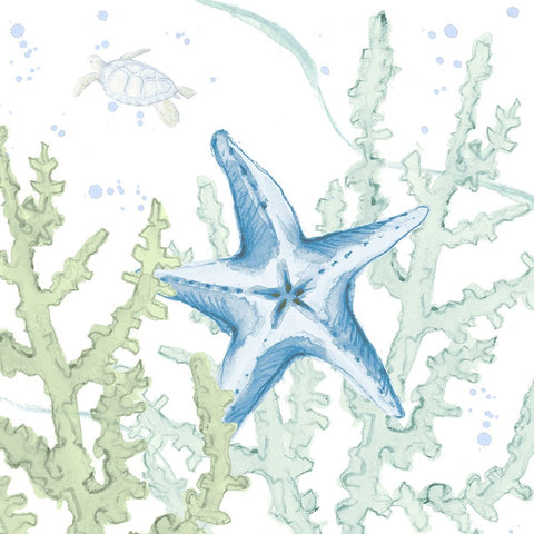 Blue Starfish In Coral White Modern Wood Framed Art Print with Double Matting by Loreth, Lanie