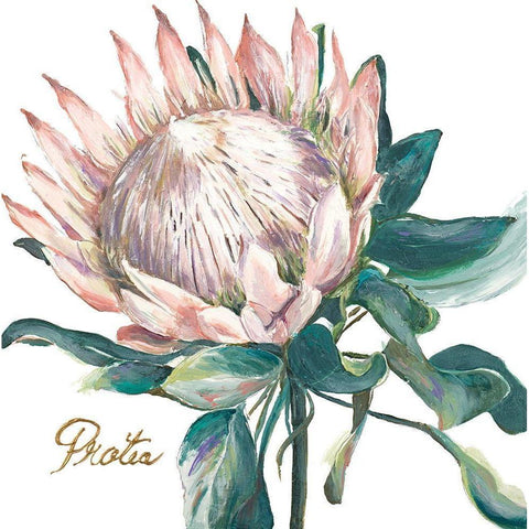 Protea I Gold Ornate Wood Framed Art Print with Double Matting by Pinto, Patricia