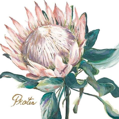Protea I Black Ornate Wood Framed Art Print with Double Matting by Pinto, Patricia