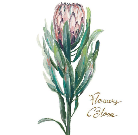 Protea II White Modern Wood Framed Art Print with Double Matting by Pinto, Patricia