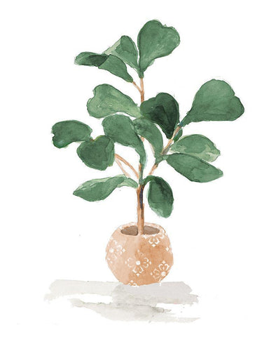 Potted Fiddle Fig Tree I White Modern Wood Framed Art Print with Double Matting by Loreth, Lanie