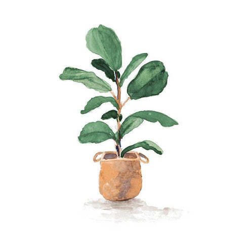 Potted Fiddle Fig Tree II White Modern Wood Framed Art Print by Loreth, Lanie