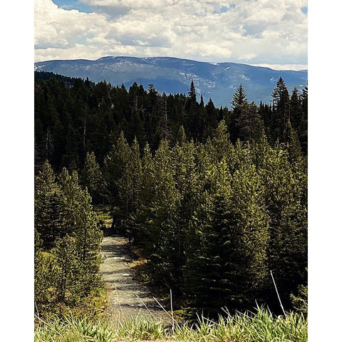 Mountain Stream Black Modern Wood Framed Art Print with Double Matting by Coppel, Anna
