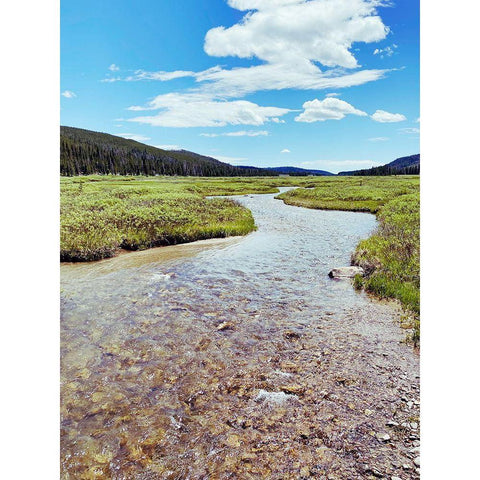 Rocky Stream White Modern Wood Framed Art Print by Coppel, Anna