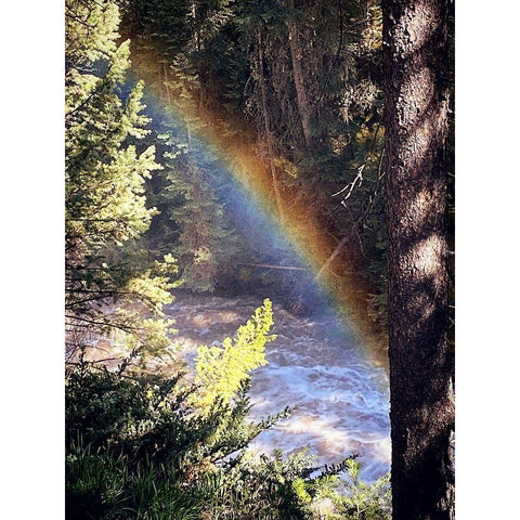 Stream and Rainbow Collide White Modern Wood Framed Art Print by Coppel, Anna
