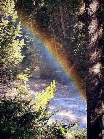 Stream and Rainbow Collide Black Ornate Wood Framed Art Print with Double Matting by Coppel, Anna