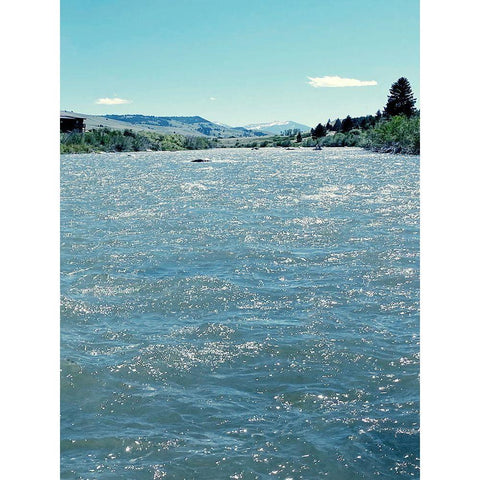 Natures Beauty Black Modern Wood Framed Art Print with Double Matting by Coppel, Anna