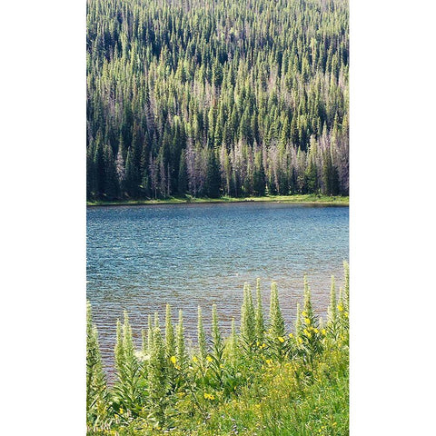 Hidden Lake Black Modern Wood Framed Art Print by Coppel, Anna