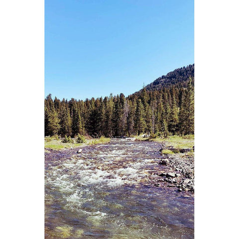 Lovely Stream Black Modern Wood Framed Art Print with Double Matting by Coppel, Anna