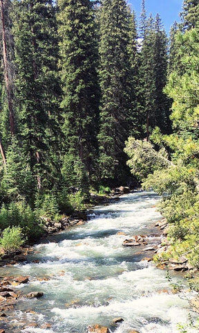 Mountain River Black Ornate Wood Framed Art Print with Double Matting by Coppel, Anna
