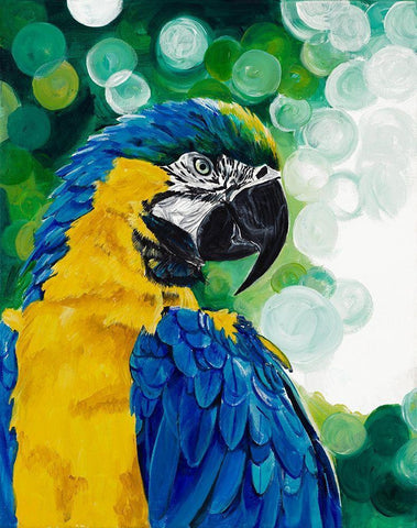 Brilliant Parrot White Modern Wood Framed Art Print with Double Matting by Goodrich, Chelsea