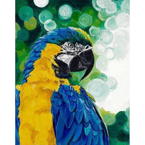 Brilliant Parrot White Modern Wood Framed Art Print by Goodrich, Chelsea