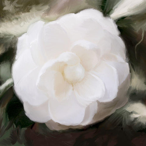 White Flower White Modern Wood Framed Art Print with Double Matting by Meneely, Dan