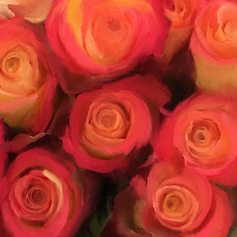 Peach Roses Black Modern Wood Framed Art Print by Meneely, Dan