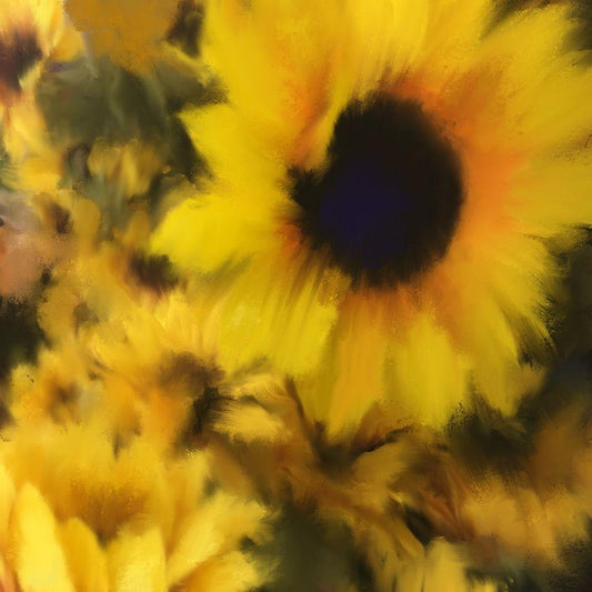 Image Only
