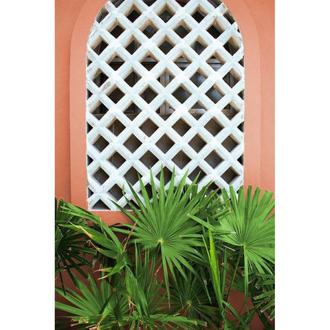 Mexican Fan Palms Black Modern Wood Framed Art Print by Wilson, Kali