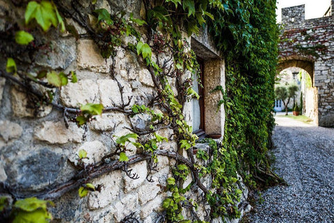 Tuscany Streets White Modern Wood Framed Art Print with Double Matting by Bill Carson Photography