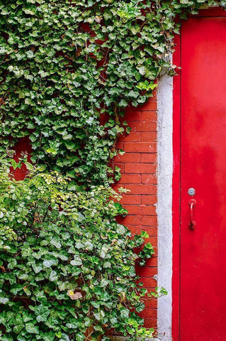 Red Garden Door White Modern Wood Framed Art Print with Double Matting by Bill Carson Photography