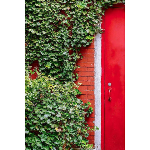Red Garden Door Black Modern Wood Framed Art Print by Bill Carson Photography