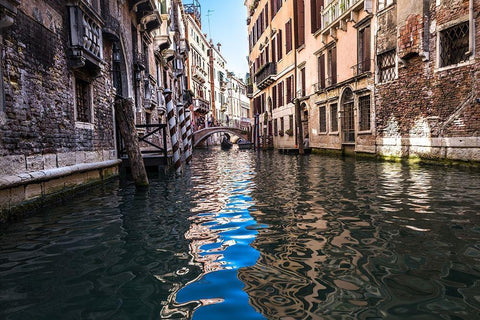Rivers of Venice Black Ornate Wood Framed Art Print with Double Matting by Bill Carson Photography