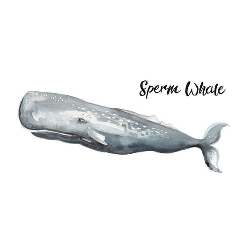 Sperm Whale White Modern Wood Framed Art Print by Pinto, Patricia