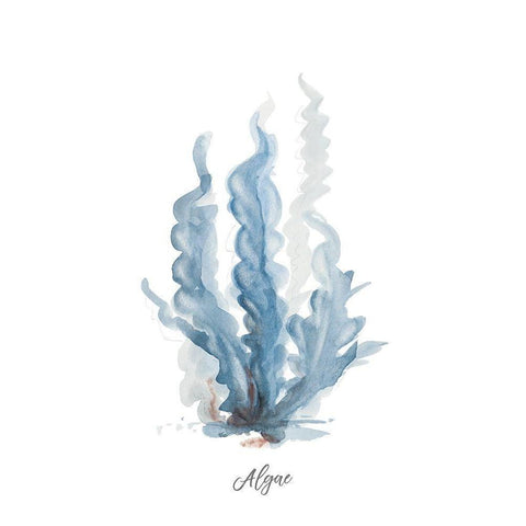 Algae White Modern Wood Framed Art Print by Pinto, Patricia