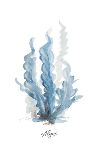 Algae Black Ornate Wood Framed Art Print with Double Matting by Pinto, Patricia