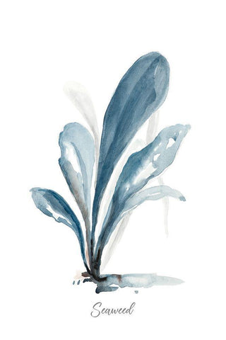 Seaweed White Modern Wood Framed Art Print with Double Matting by Pinto, Patricia