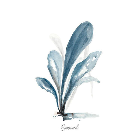 Seaweed White Modern Wood Framed Art Print by Pinto, Patricia